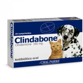 CLINDABONE® 20 Tab